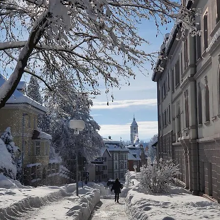 Stiefel Mit Garage & Auszeit Card Διαμέρισμα Wangen im Allgäu