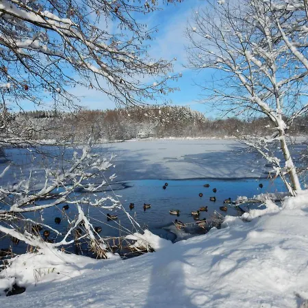 Stiefel Mit Garage & Auszeit Card Διαμέρισμα Wangen im Allgäu